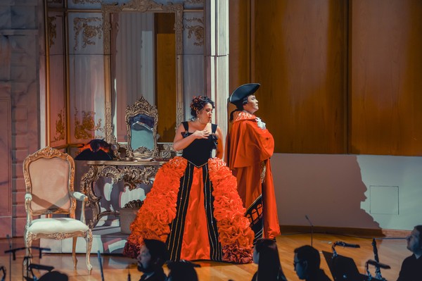 Шёлковая лестница