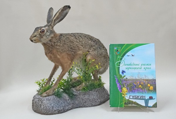 Выставка «Заповедное Белогорье»