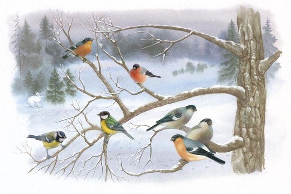 Творческая мастерская «Холодная пора»