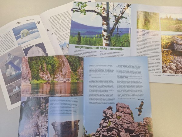 Экологическая панорама «Мир заповедной природы»