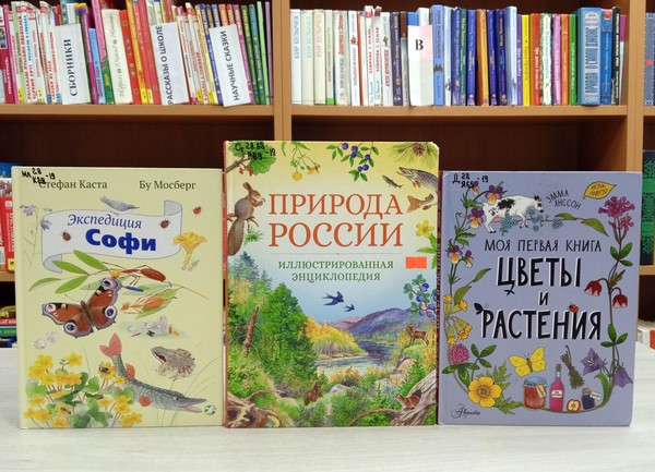 Интерактивная программа «Открываем тайны природы»