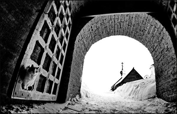 Фотовыставка Валерия Стрижикозина «Взгляд»