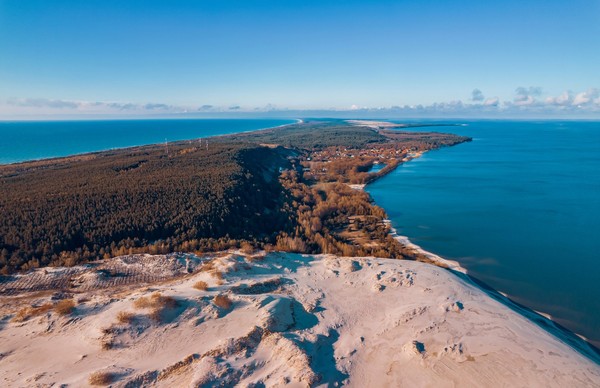 Куршская коса с профессиональным орнитологом