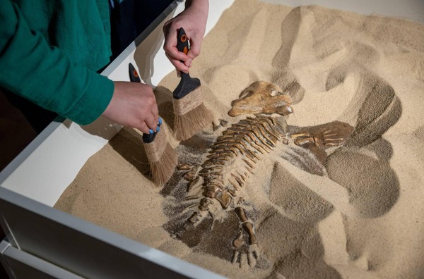 Выставка «От ящеров до зверей»