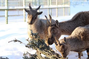 Интерактивная экскурсия