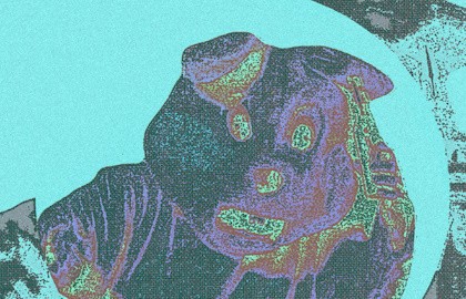 Footstep, Boss Trick, Линия бикини, Магнолия