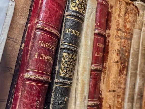 Лекция «Необыкновенное время, война и литература»