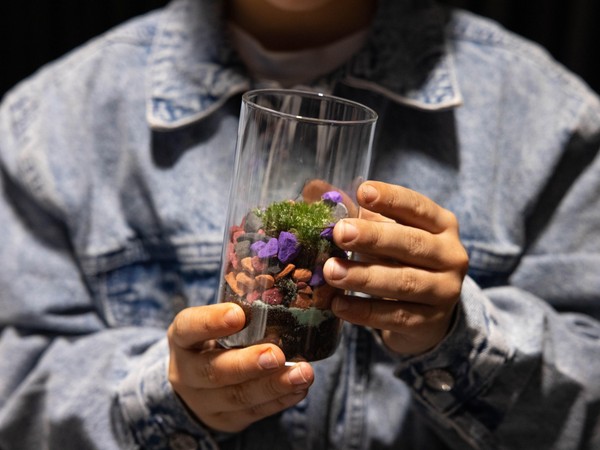 Мастер-класс «Флорариум своими руками»