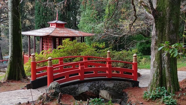 Сочи в 19 веке: имение Худекова и рождение «Дендрария»