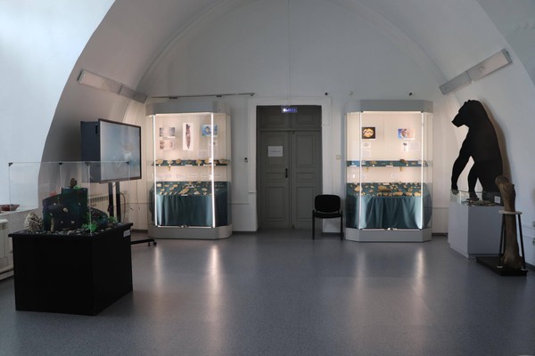 Экспозиции Алтайского краеведческого музея