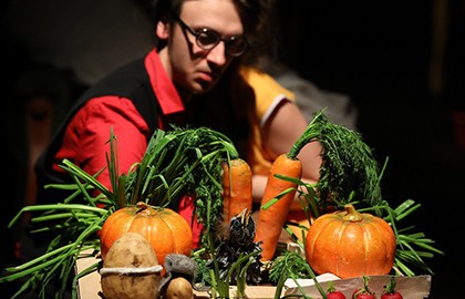 Дрозд фрау Майер