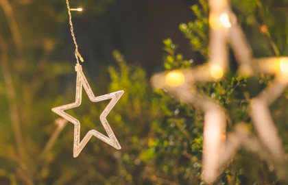 Рождественский фестиваль. Орган и вокал