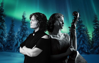 Барокко в Северной Европе: виола да гамба и орган