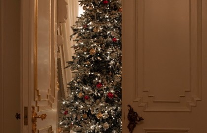 Святочная терапия доктора Чехова