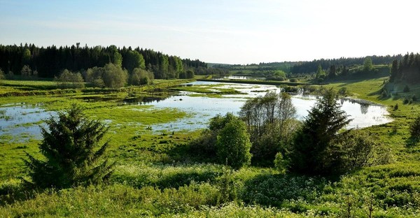Вечер поэзии «Тихая моя родина»