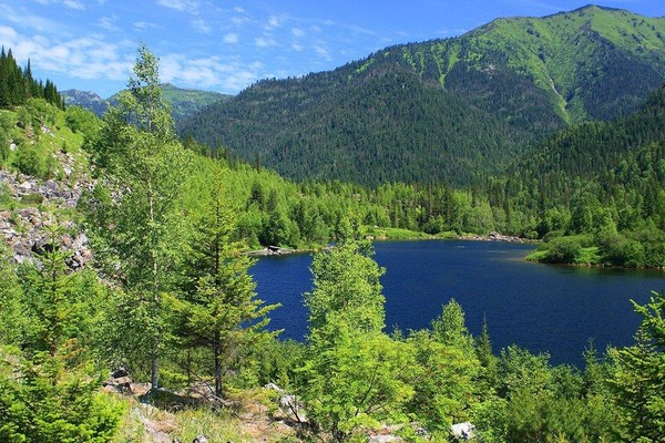 «По экологической тропе Мордовии»: познавательный час