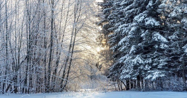 С Крещением