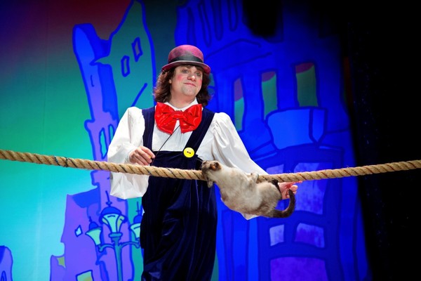 Волшебные кошки