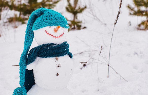 Всемирный день снеговика