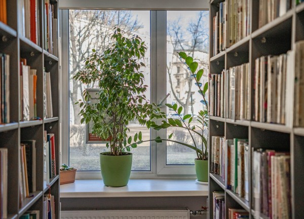 Онлайн-лекция «За всё добро расплатимся добром»