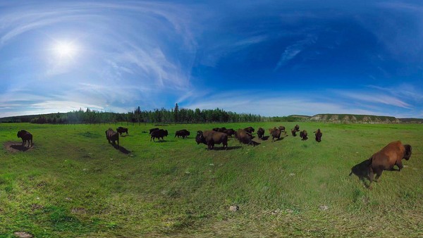 Программа «Заповедные жемчужины России»