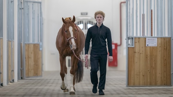 Тематическая экскурсия по демонстрационной конюшне