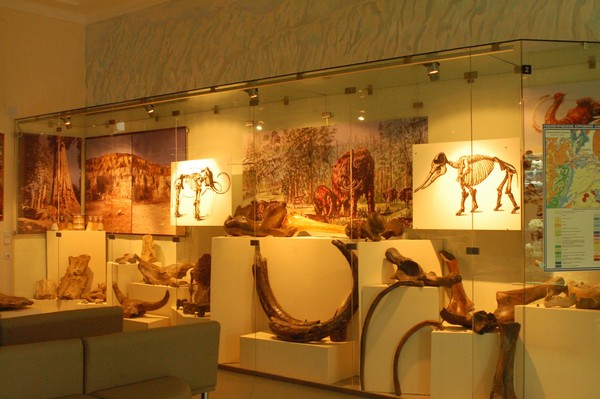 Экспозиция Краеведческого музея г. Сызрань