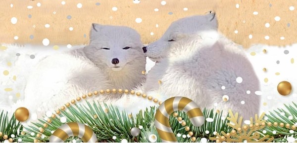 «Новогодние каникулы 2026»