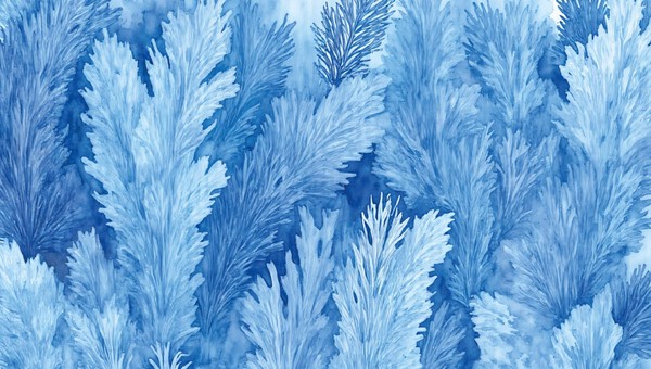 Мастер класс по рисованию «Мороз рисует узоры»