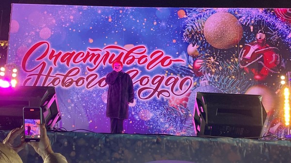 Концертная новогодняя программа у городской ёлки