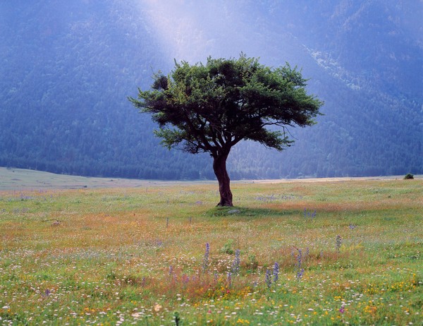 Выставка «Источник вдохновения»