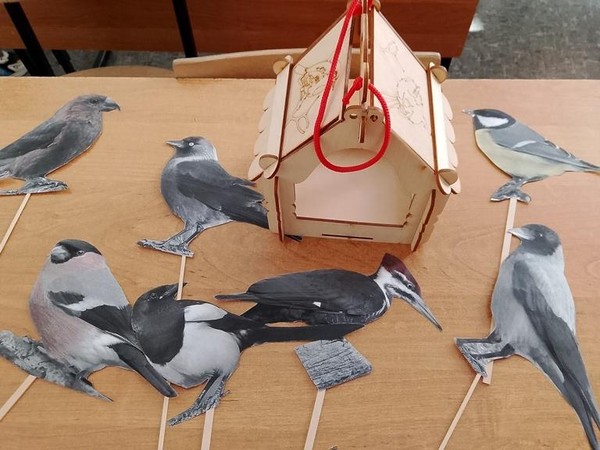 Урок экологии «Берегите птиц зимой»