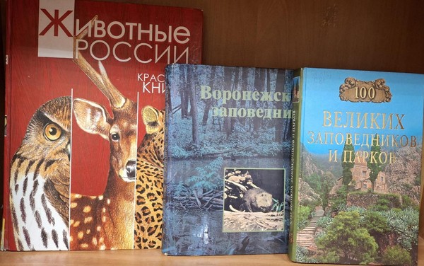 Видеокруиз «Путешествие в заповедный мир»