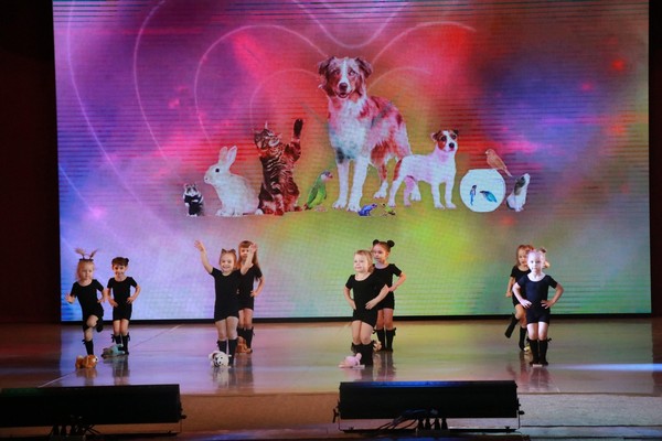 Концерт «Зимний фейерверк»