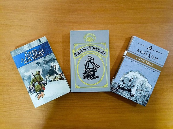 Программа «Любовь к жизни»