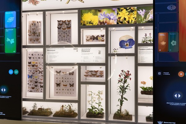 Выставка «Жужжащий мир»