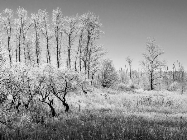 Выставка Евгения Степанова «Близкие пейзажи»