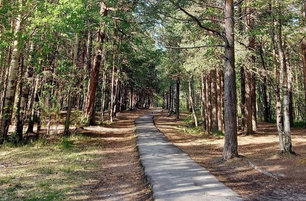 Экскурсия «Большая Ягринская тропа»