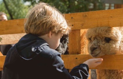 Городская ферма на ВДНХ