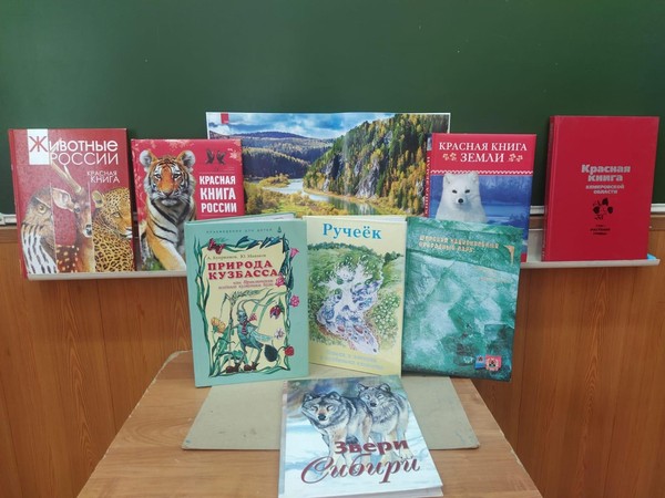 Экологическое путешествие «Заповедная красота природы»