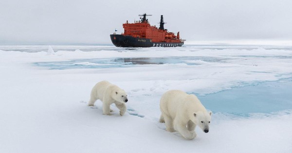 В гости в Арктику
