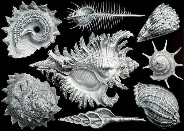 Познавательные занятия о природе в Визит-центре