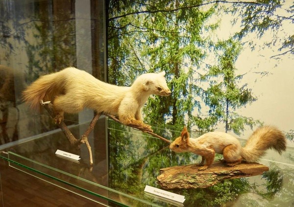 Выставка «Тот самый музей»