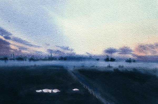 Выставка «Укореняясь в воздухе»