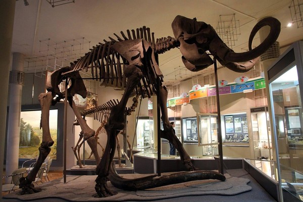 Постоянные экспозиции Музея природы Урала