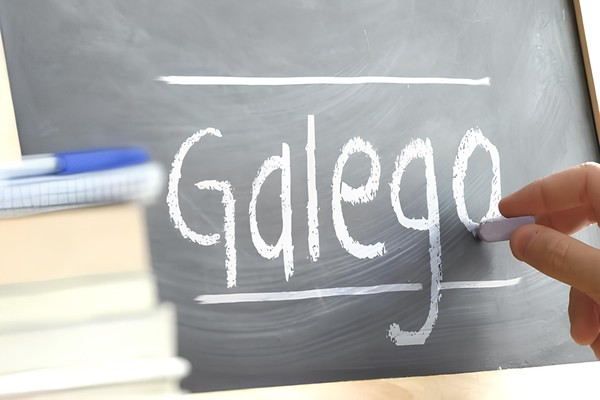 Онлайн-лекция «Знакомство с галисийским языком»