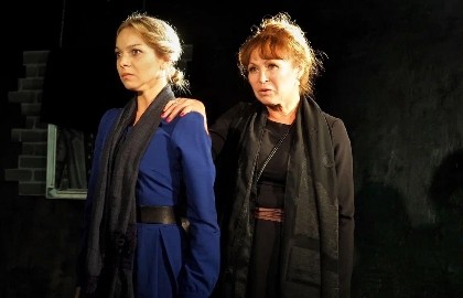 Горький. Васса