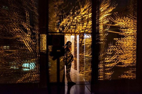 Выставка фотографий Алены Кочетковой «Она продолжается»