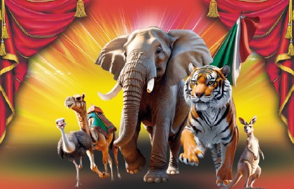 Итальянский цирк «Слоны и тигры»