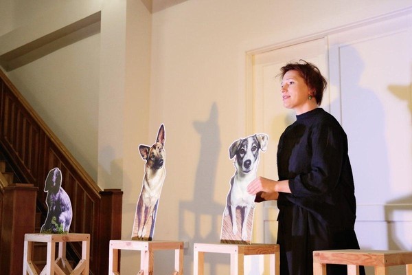 Спектакль «Коты, коровы, собаки и другие люди»